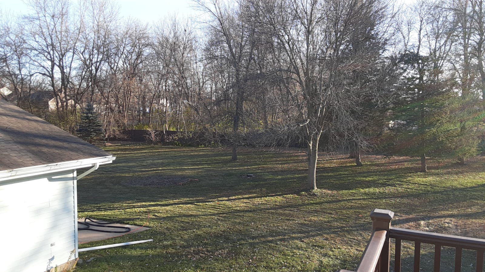 Outdoor stroll with team member